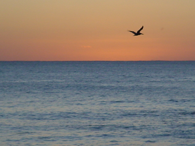 Foto de RINCON, Puerto Rico