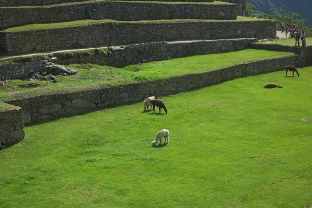 Foto de Cusco, Perú