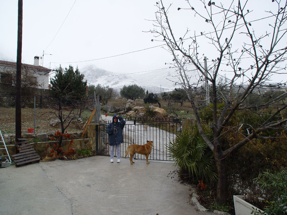 Foto de LOS PAVITOS, España