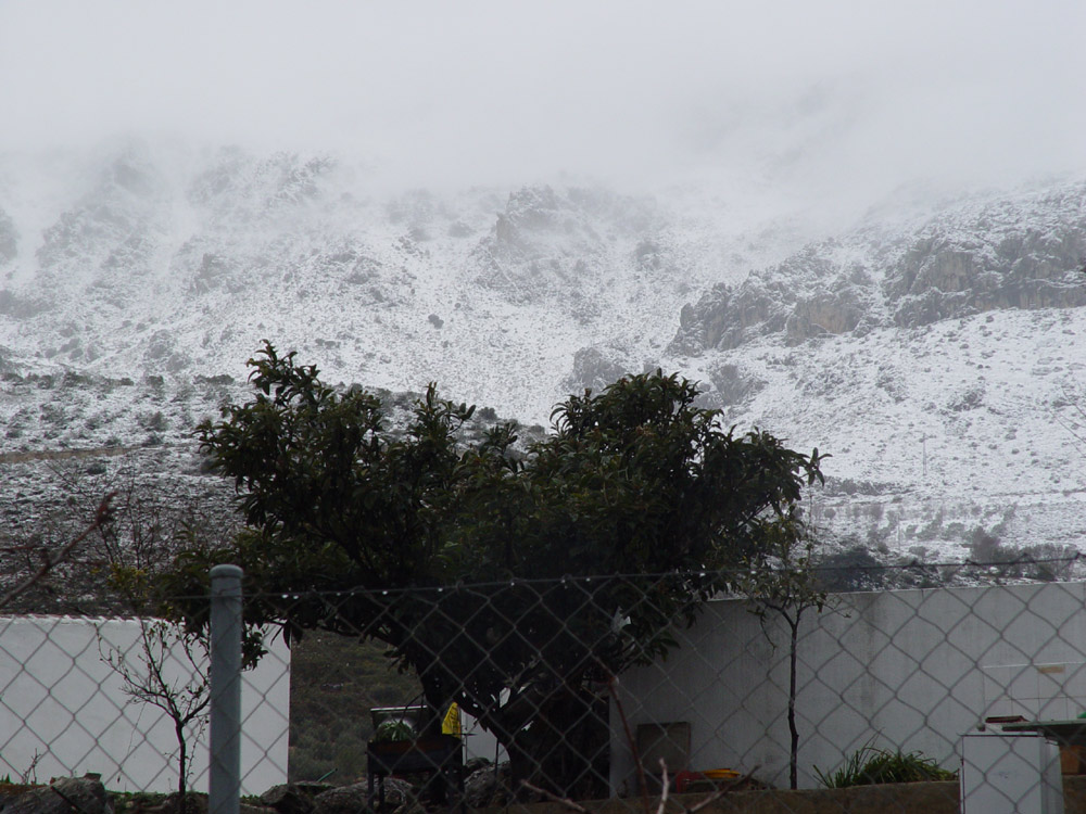 Foto de LOS PAVITOS, España