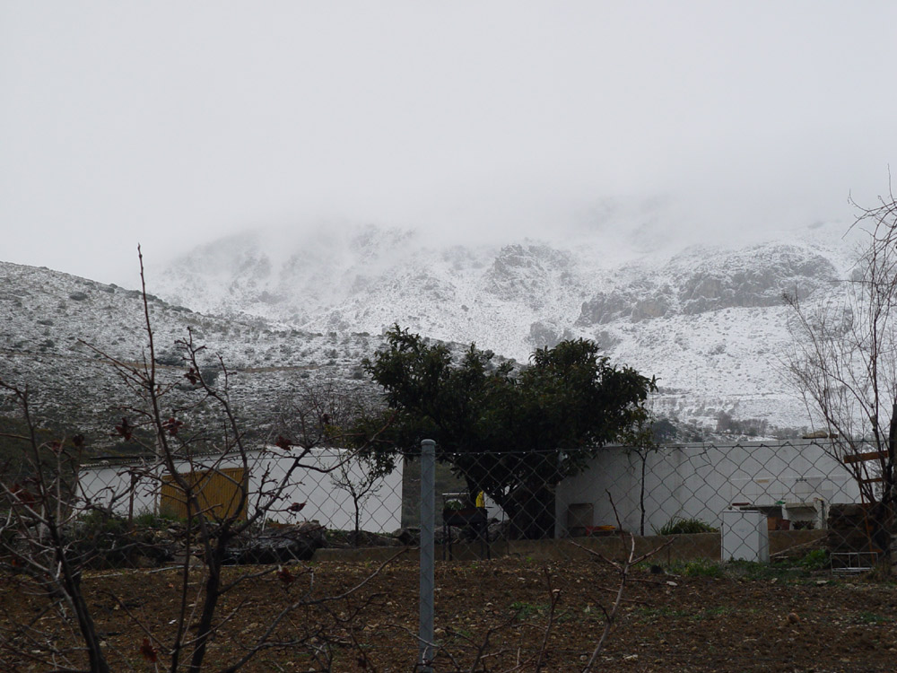 Foto de LOS PAVITOS, España