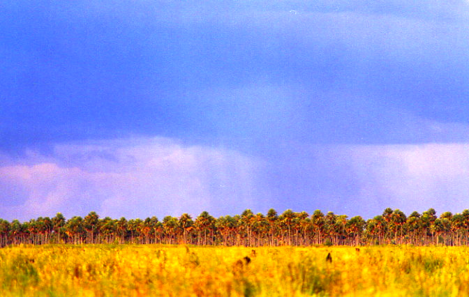 Foto de Formosa, Argentina