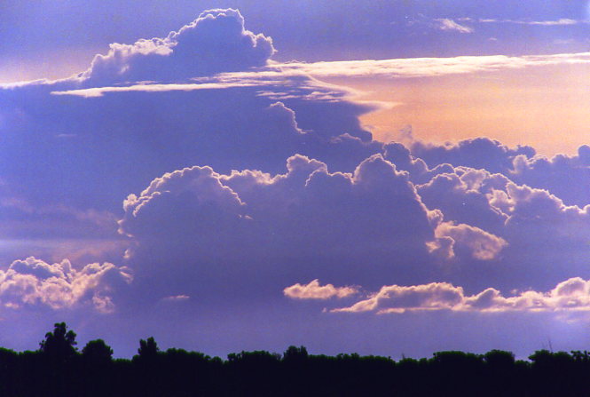 Foto de Formosa, Argentina