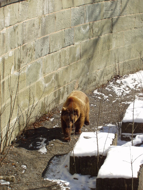 Foto de Berna (Suiza), Suiza