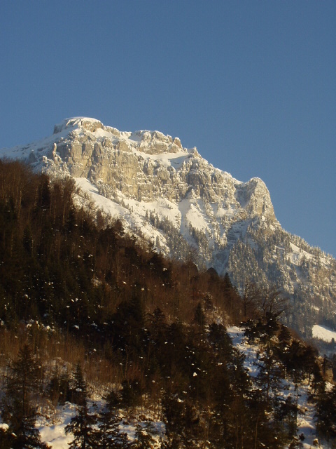Foto de Brunnen (Suiza), Suiza