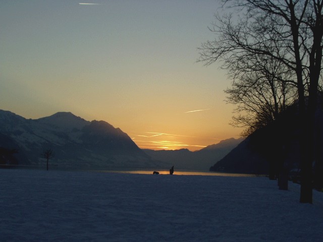 Foto de Brunnen (Suiza), Suiza