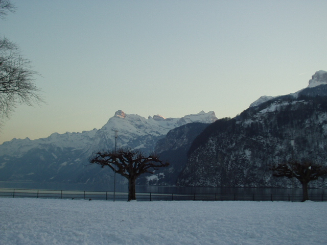 Foto de Brunnen (Suiza), Suiza