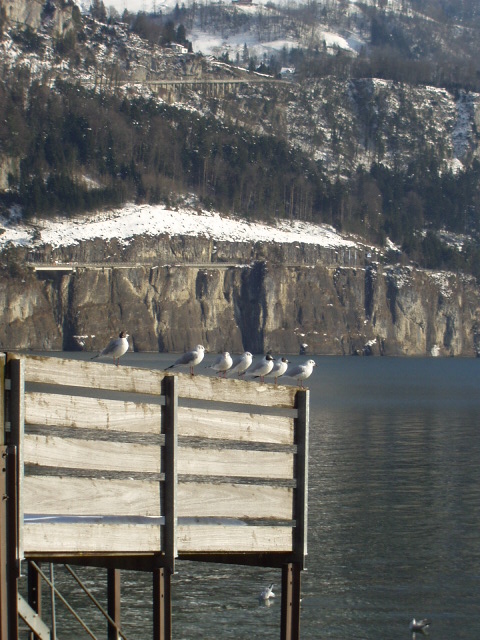 Foto de Brunnen (Suiza), Suiza