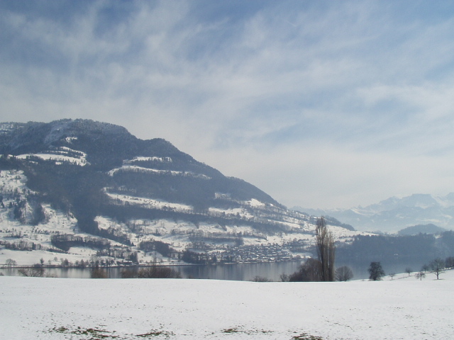 Foto de Lago Brunnen (Suiza), Suiza