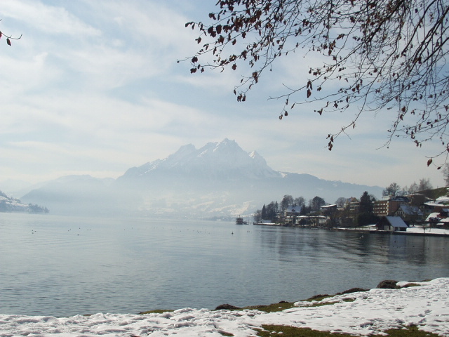 Foto de Lago Brunnen (Suiza), Suiza