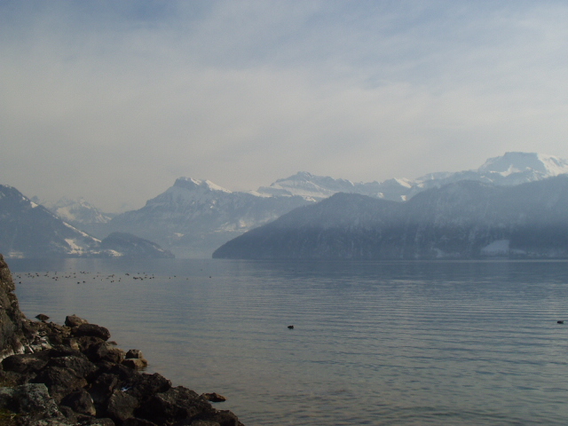 Foto de Lago Brunnen (Suiza), Suiza