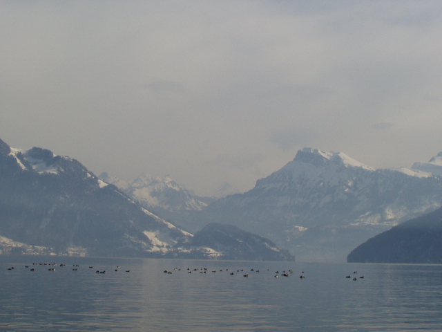 Foto de Lago Brunnen (Suiza), Suiza