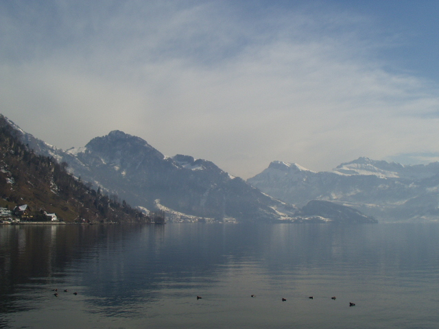 Foto de Lago Brunnen (Suiza), Suiza