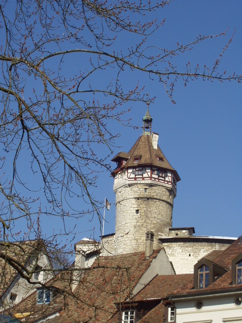 Foto de Schaffhausen (Suiza), Suiza