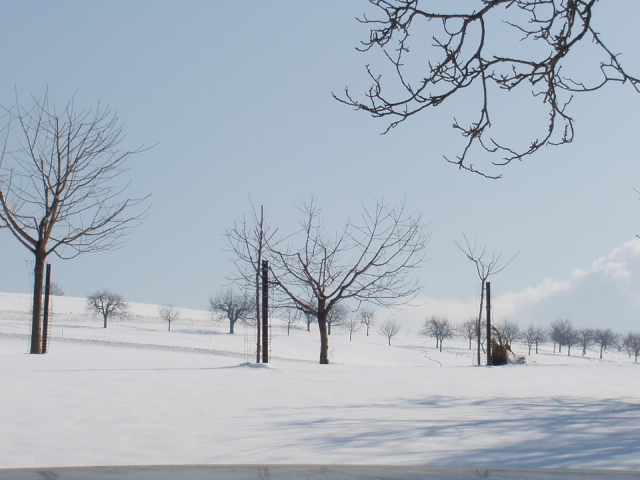 Foto de Einsiedeln (Suiza), Suiza