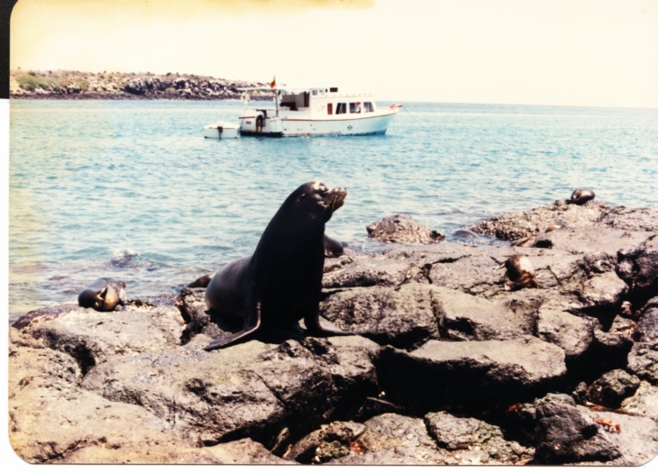 Foto de Galapagos, Ecuador