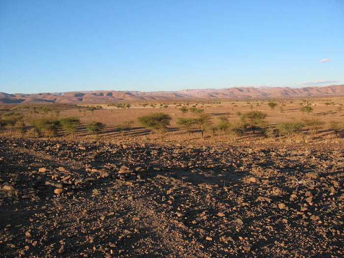 Foto de TAZNACHT, Marruecos