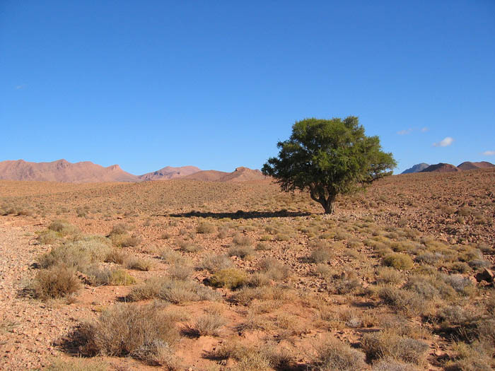 Foto de TATA, Marruecos