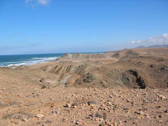 Foto de PLAGE BLANCHE, Marruecos