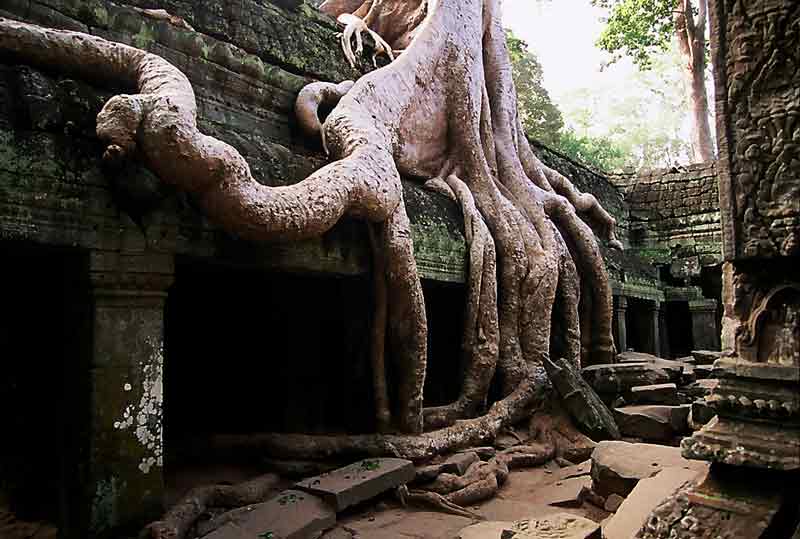 Foto de Angkor, Camboya