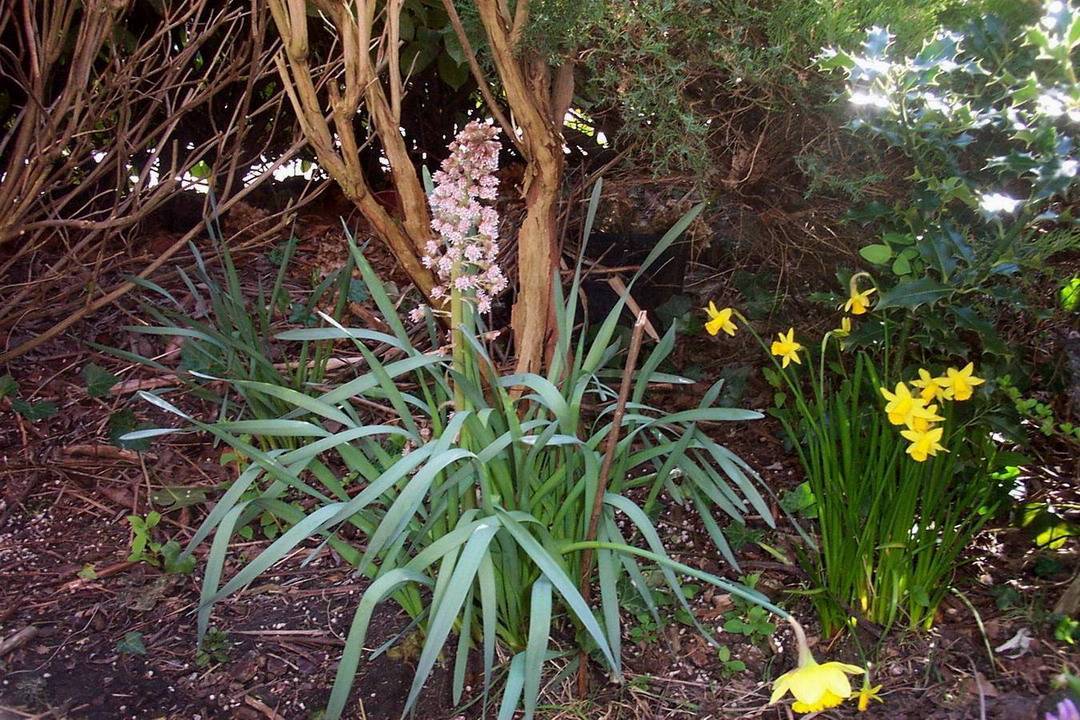 Foto de De Pinte, Bélgica