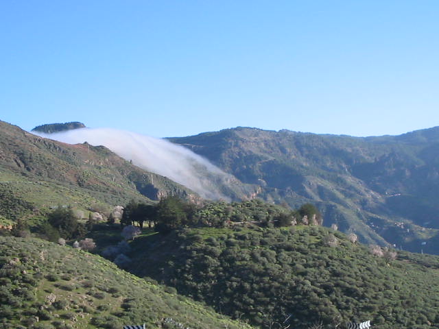 Foto de Gran Canaria (Las Palmas), España