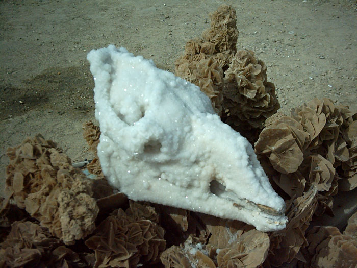 Foto de Chot El Jerid, Túnez