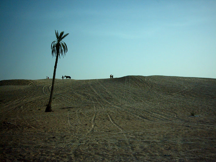 Foto de Douz, Túnez