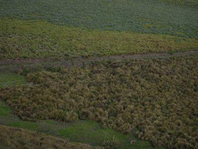 Foto de Pichincha, Ecuador