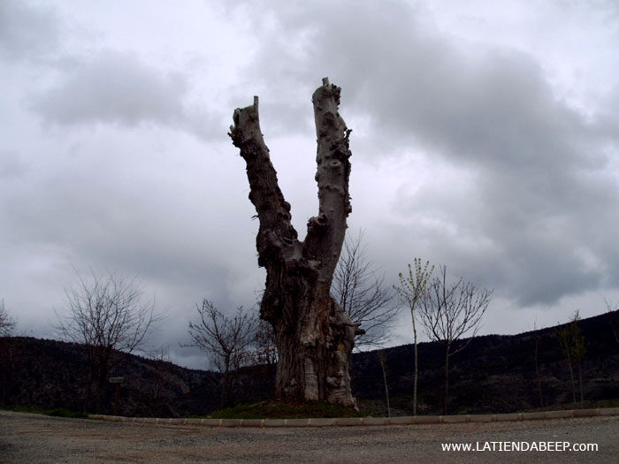 Foto de Camarena de La Sierra (Teruel), España