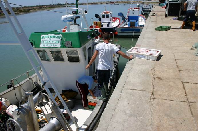 Foto de Cádiz (Andalucía), España