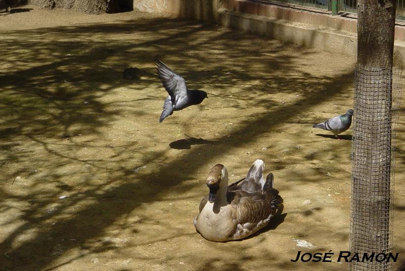 Foto de Jerez  de la Frontera (Cádiz), España