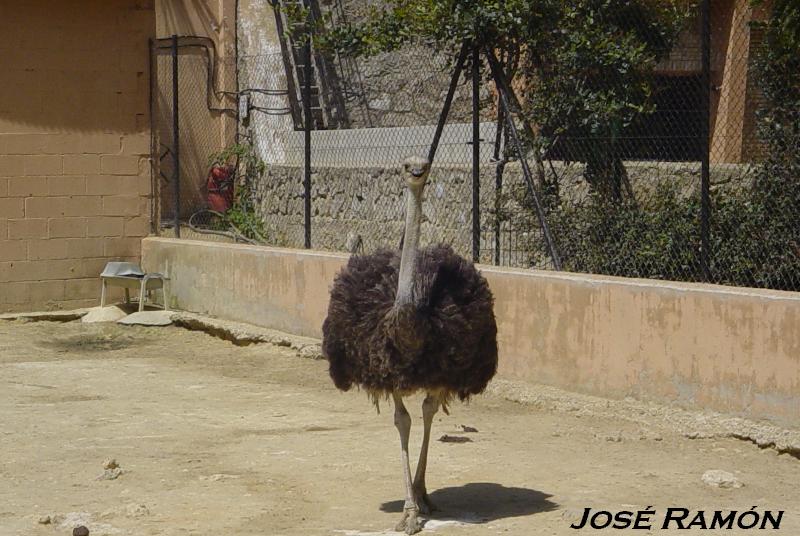 Foto de Jerez  de la Frontera (Cádiz), España