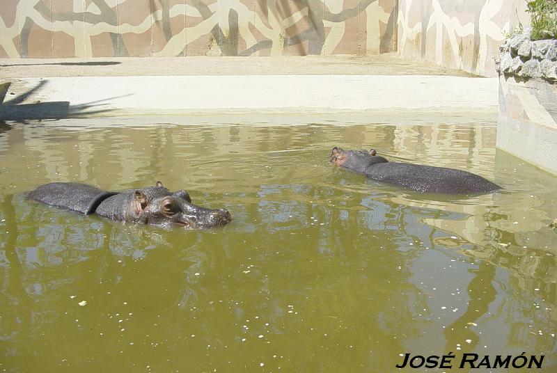 Foto de Jerez  de la Frontera (Cádiz), España