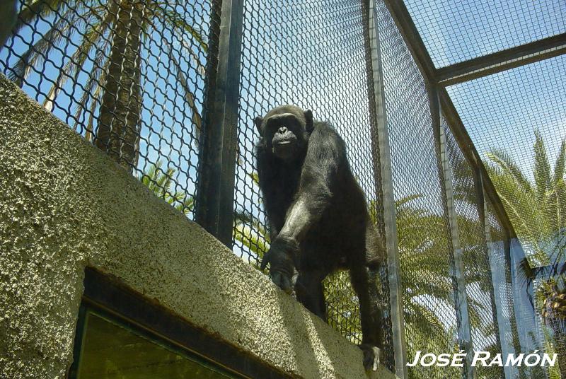 Foto de Jerez  de la Frontera (Cádiz), España
