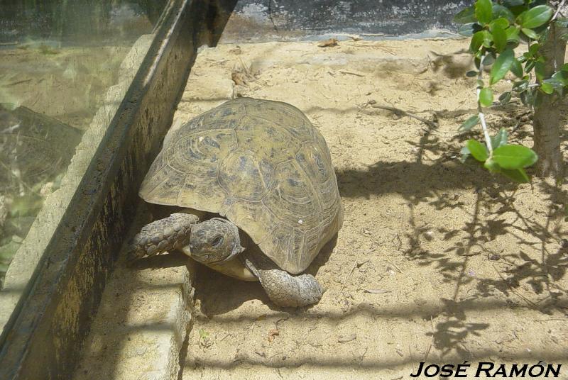 Foto de Jerez  de la Frontera (Cádiz), España