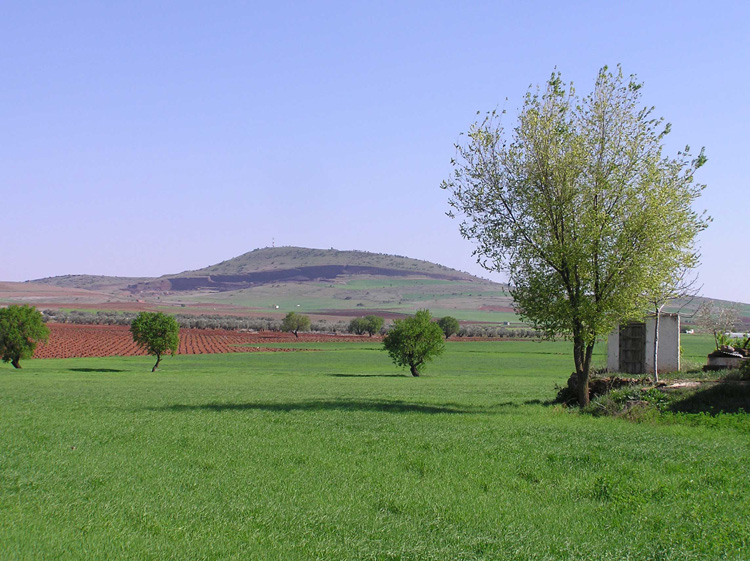 Foto de Almagro (Ciudad Real), España