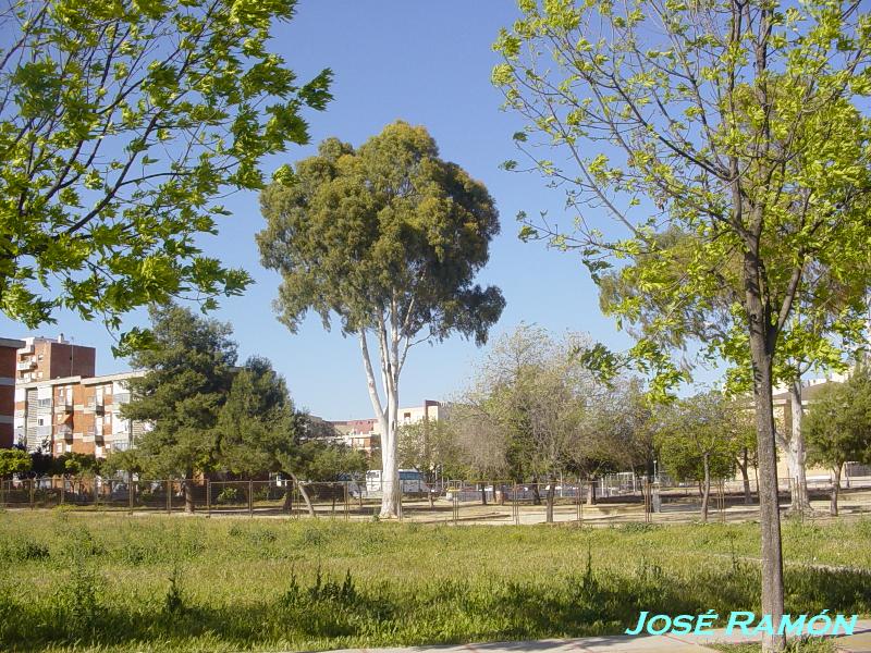 Foto de Jerez  de la Frontera (Cádiz), España