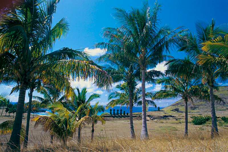 Foto de Isla de Pascua, Chile