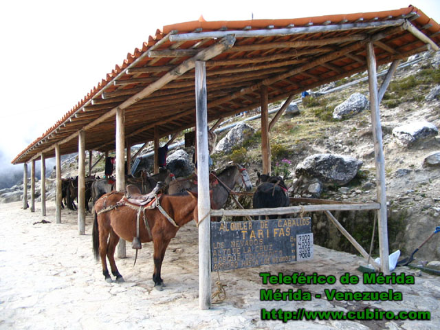 Foto de Mérida, Venezuela