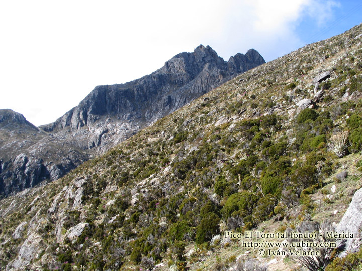 Foto de Mérida, Trinidad y Tobago