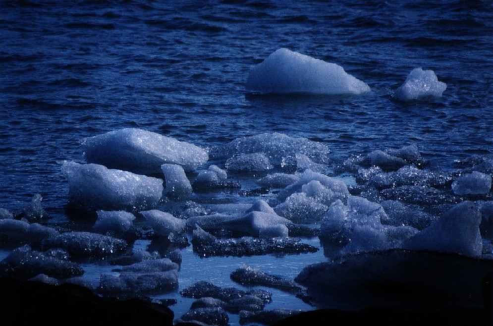 Foto de Laguna San Rafael, Chile