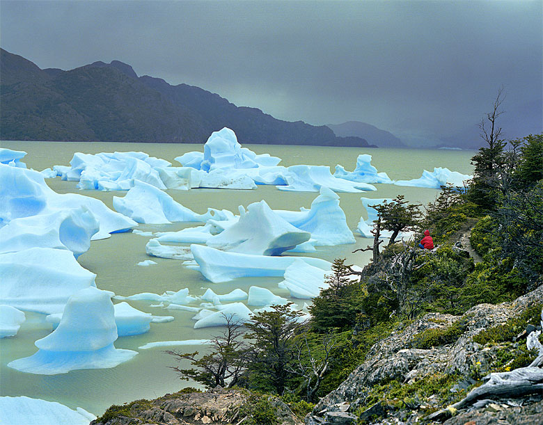 Foto de Torres del Paine, Chile