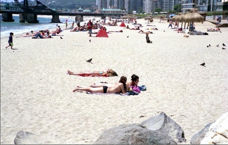 Foto de Viña del Mar, Chile