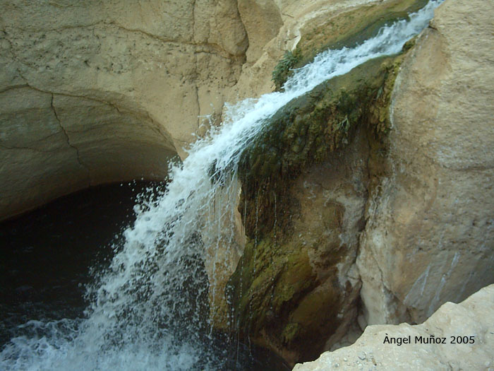 Foto de Tamerza, Túnez