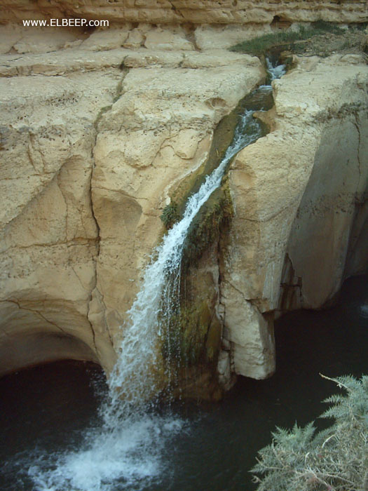 Foto de Tamerza, Túnez