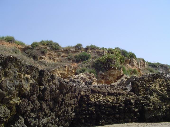 Foto de El Puerto de Santa María (Cádiz), España
