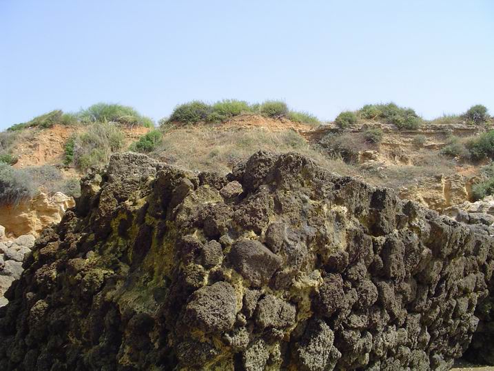 Foto de El Puerto de Santa María (Cádiz), España