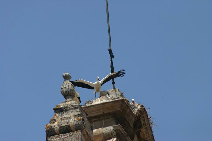 Foto de El Puerto de Santa María (Cádiz), España
