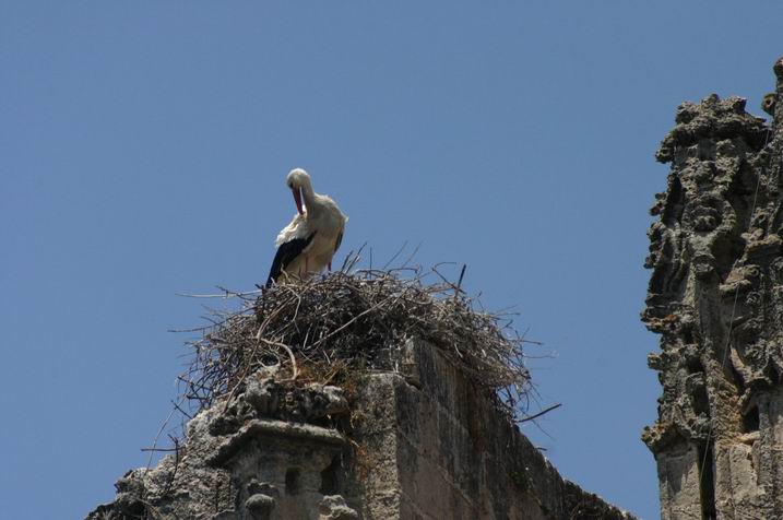 Foto de El Puerto de Santa María (Cádiz), España